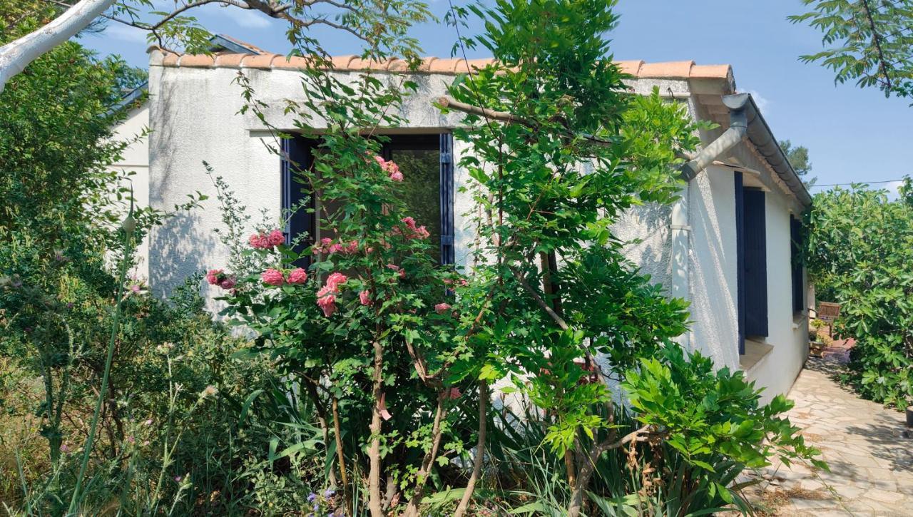 Chambre Privee Dans Maison En Garrigue Nimes Ngoại thất bức ảnh